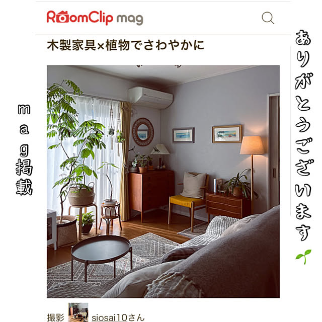 siosai10さんの実例写真