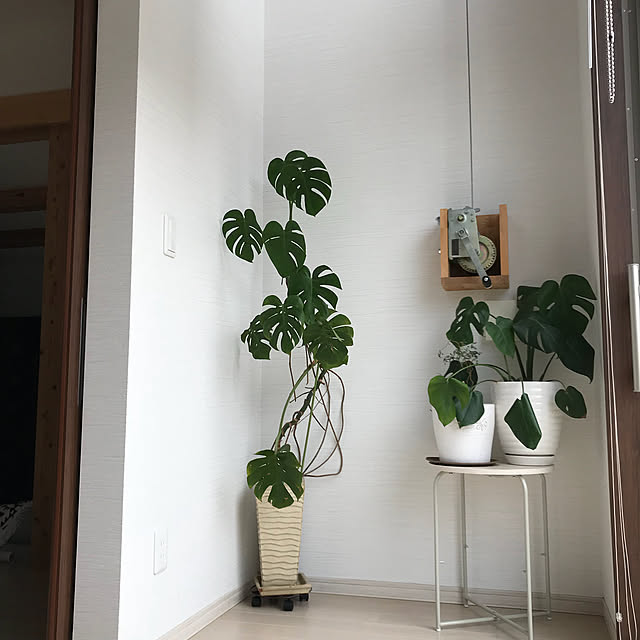 sayさんの実例写真