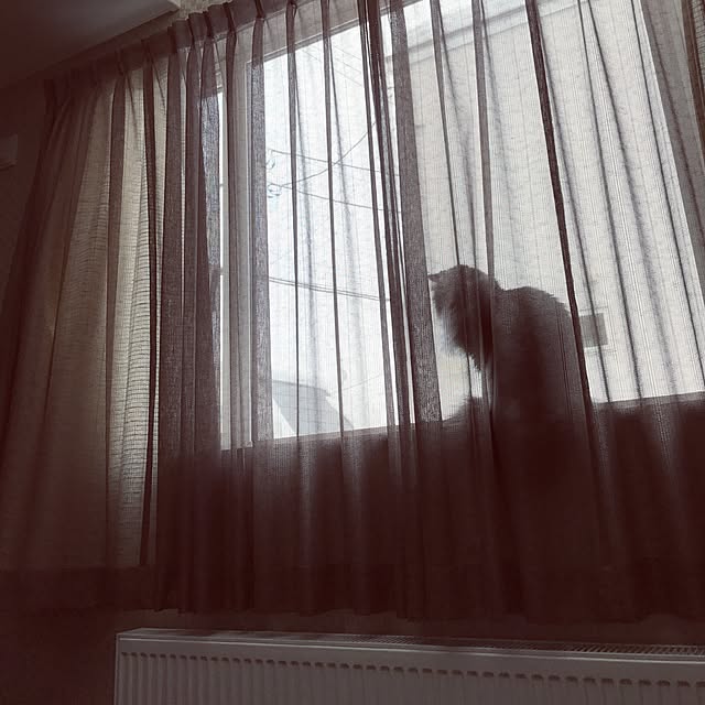 zaki_yuさんの実例写真