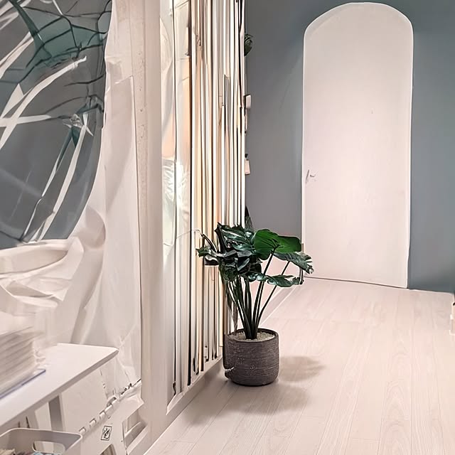 megurinさんの部屋