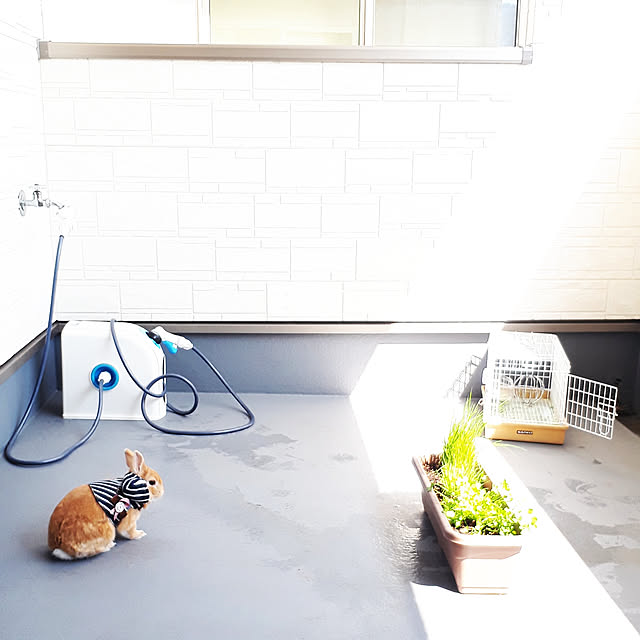 aiさんの実例写真