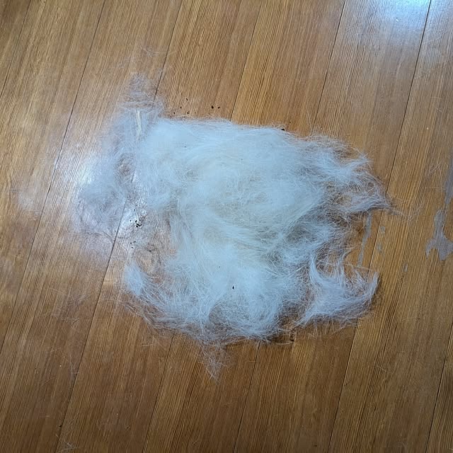 asaさんの部屋