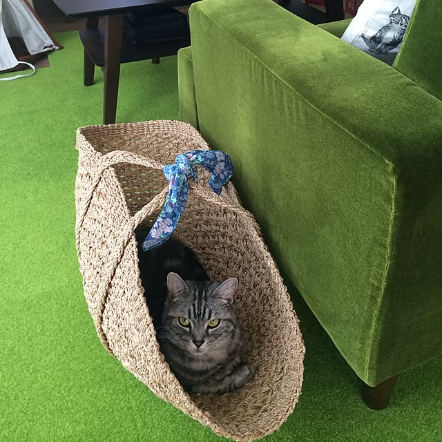 mikomaruさんの実例写真