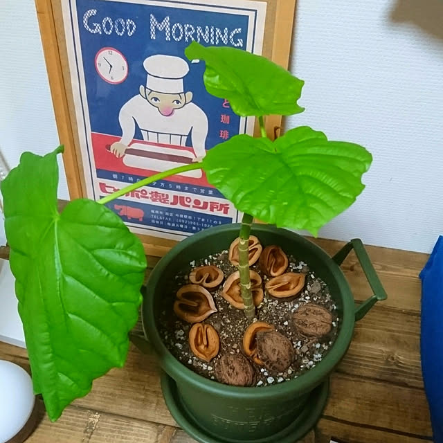 nscraftworksさんの実例写真