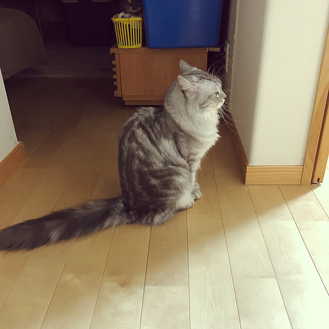 ecopanaさんの実例写真