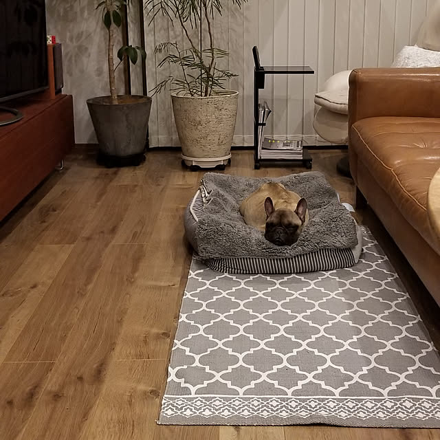 renrenさんの実例写真