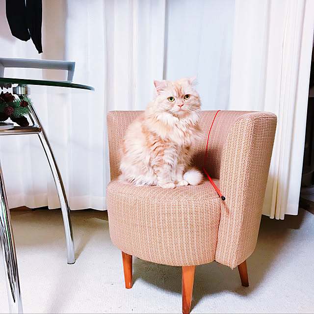 roseさんの実例写真