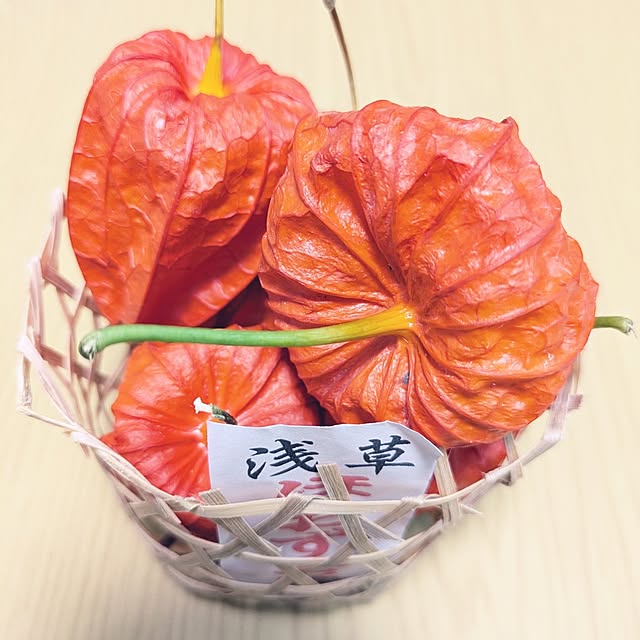 Shion+さんの実例写真