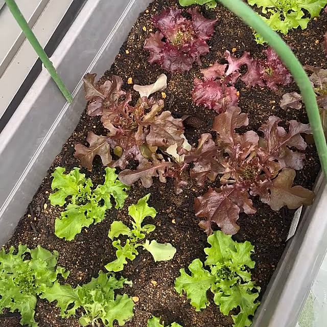 Megumiさんの部屋