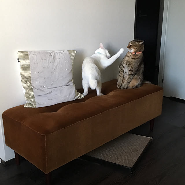 tokotokoさんの実例写真