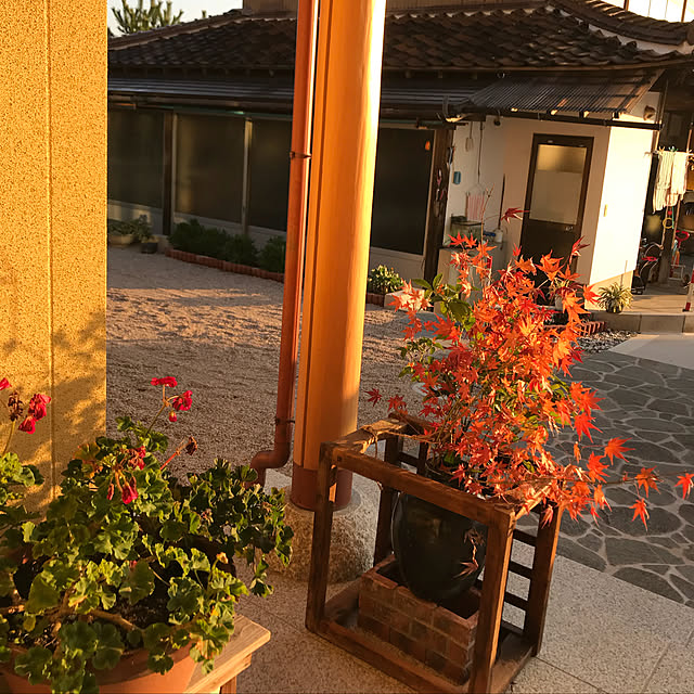 Airiさんの実例写真