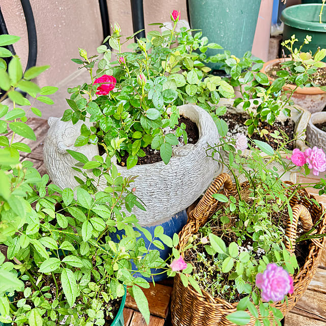 naokoさんの部屋