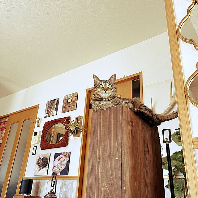 Mさんの実例写真