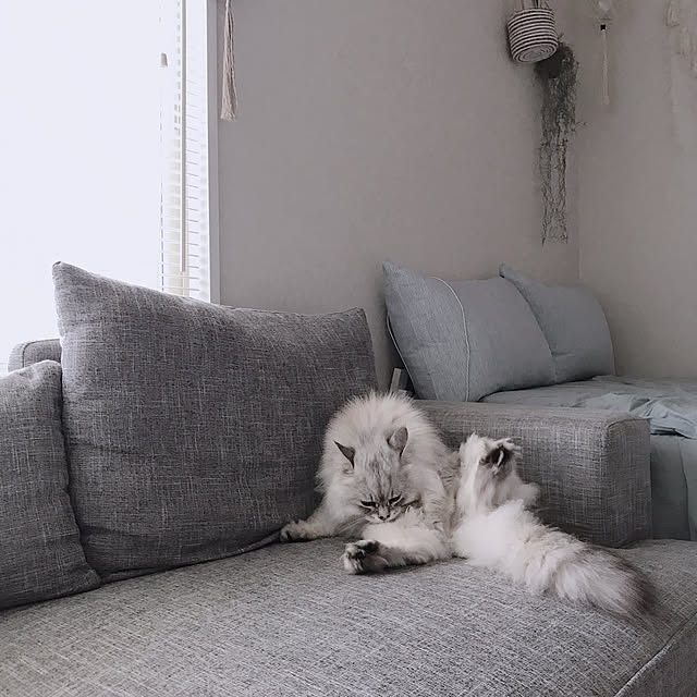 moon.mさんの実例写真