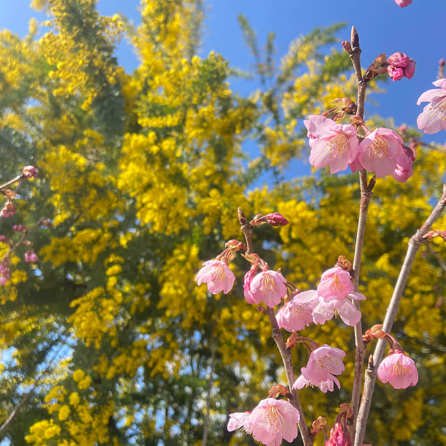 na-chanさんの部屋