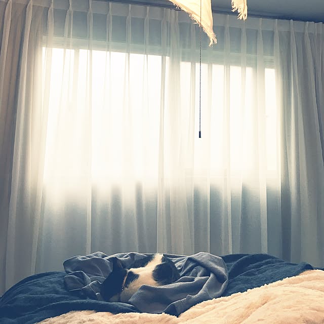 Shihoさんの実例写真