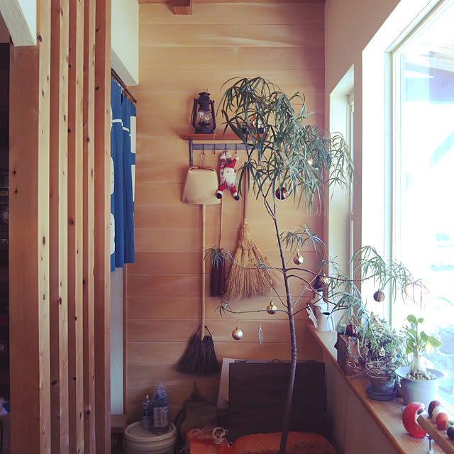 t.yumiさんの実例写真