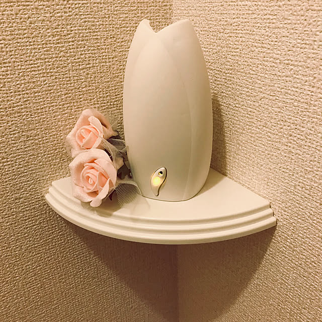 rinne-catさんの実例写真