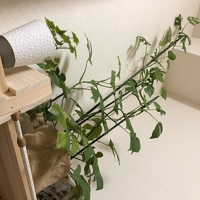 akihimeさんの実例写真