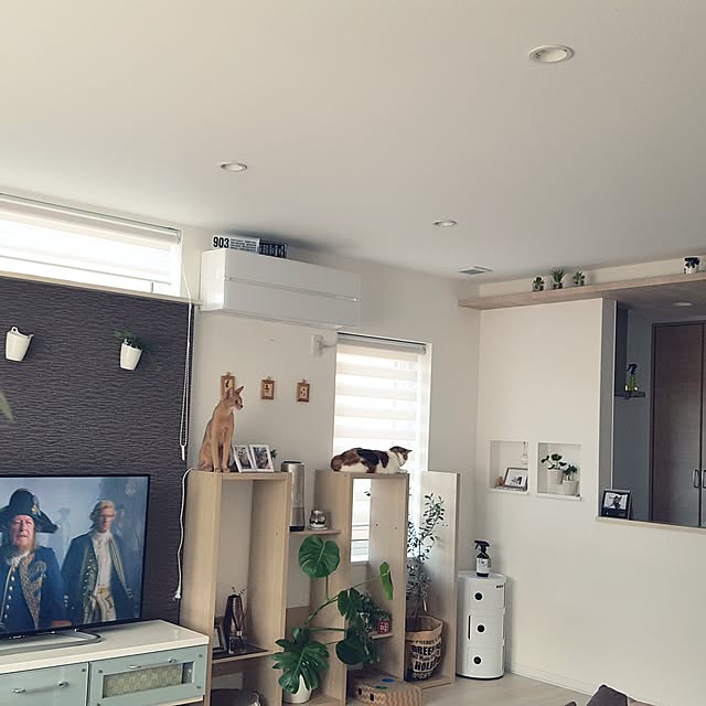 megu.catさんの実例写真