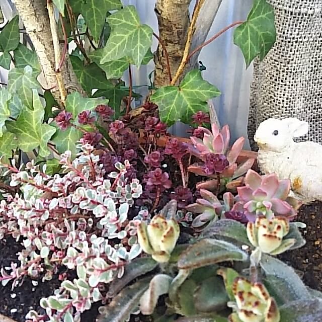 INDOORさんの実例写真