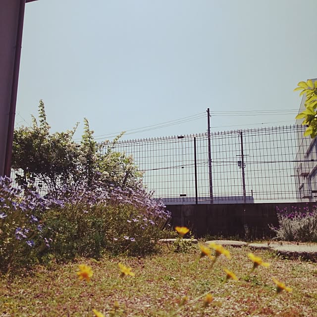 omowaredouさんの実例写真