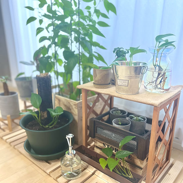 Ritsuさんの部屋