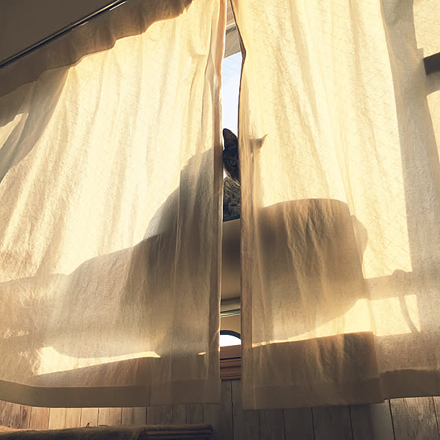 Mさんの実例写真