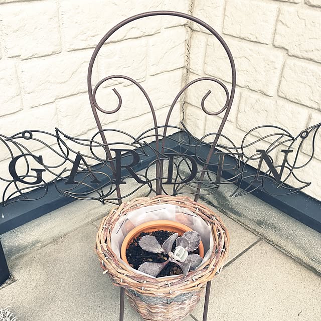 yoppyさんの実例写真