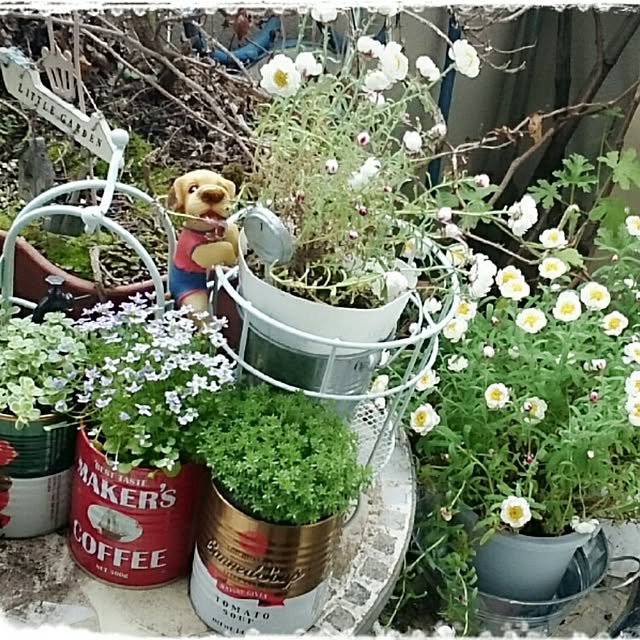 OBTERNIR88filerさんの実例写真