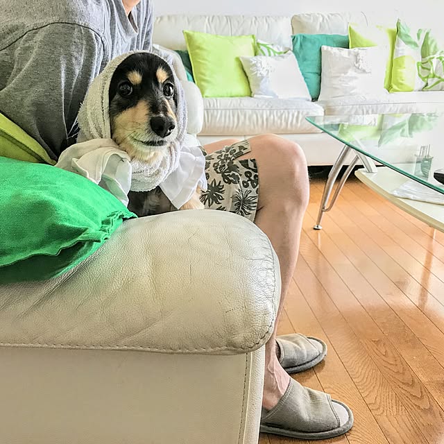 hiyo.pietさんの実例写真