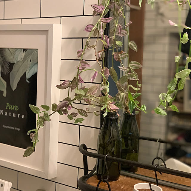 masakoさんの部屋