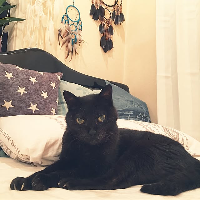 TiffanyTさんの実例写真