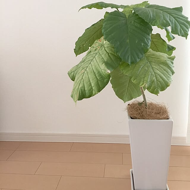 k_t_k_3さんの実例写真