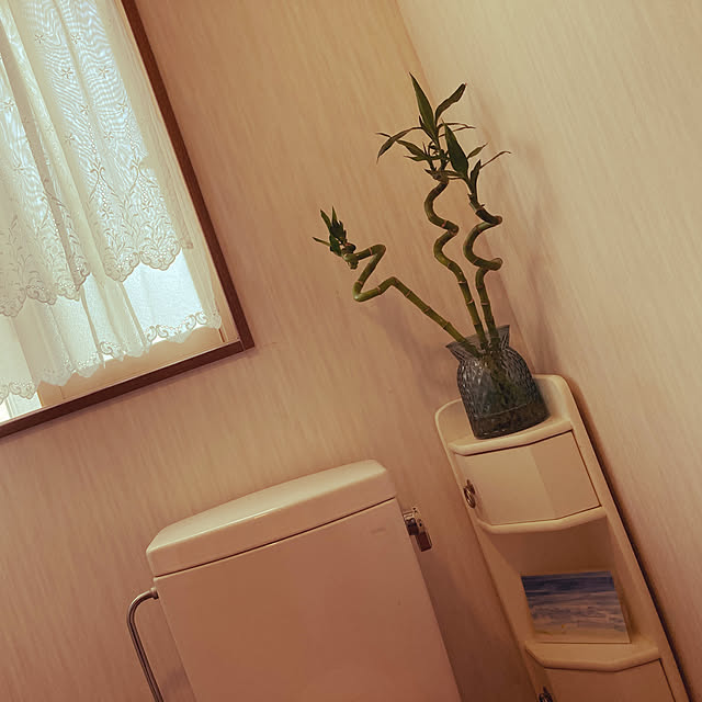 sky66さんの実例写真
