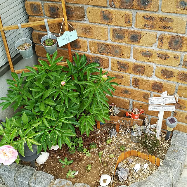 go-yaさんの実例写真