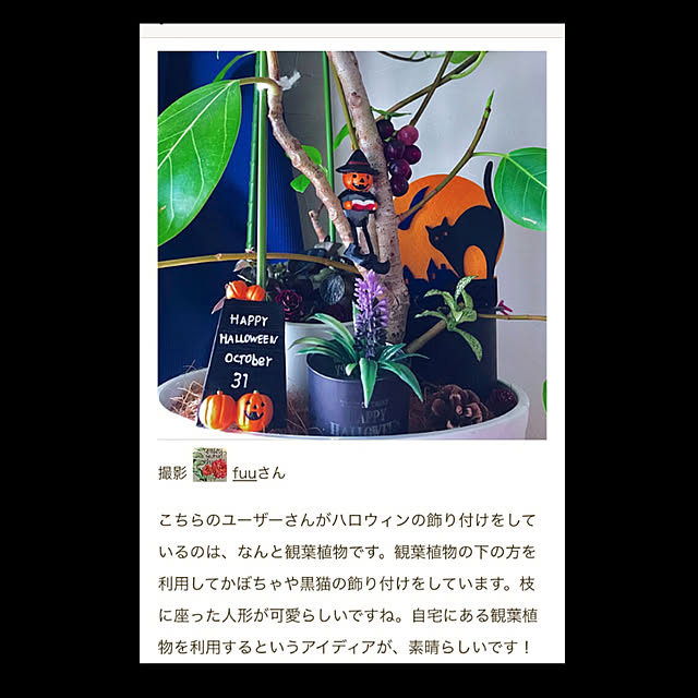 fuuさんの実例写真