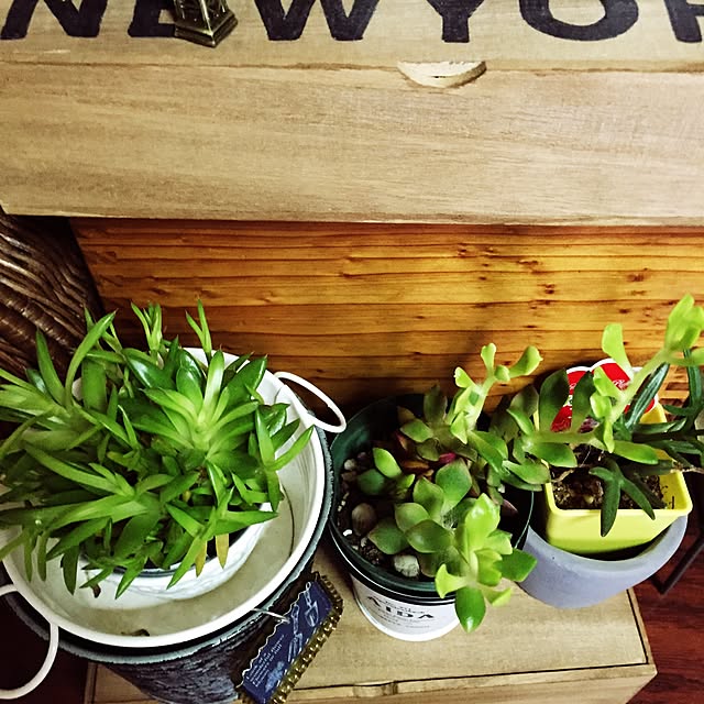 yoropikoさんの実例写真