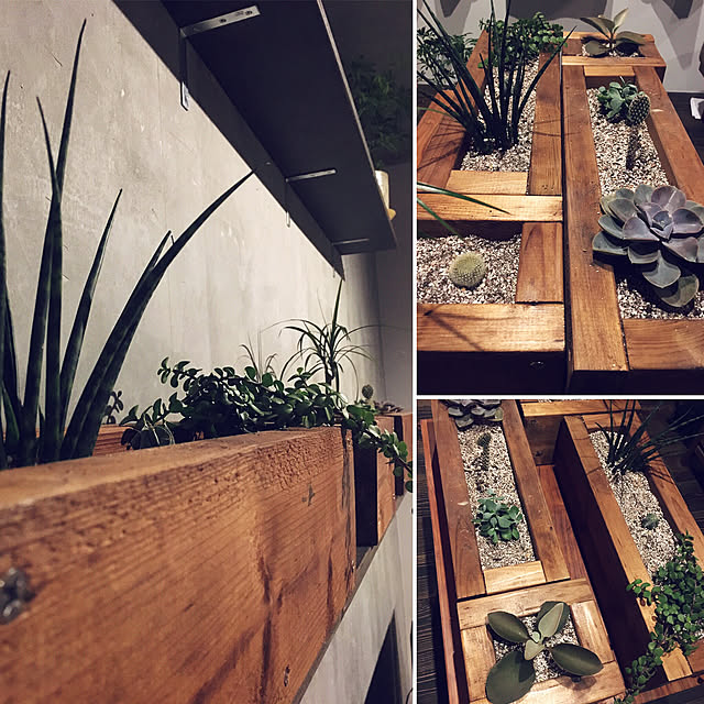 Yanさんの実例写真