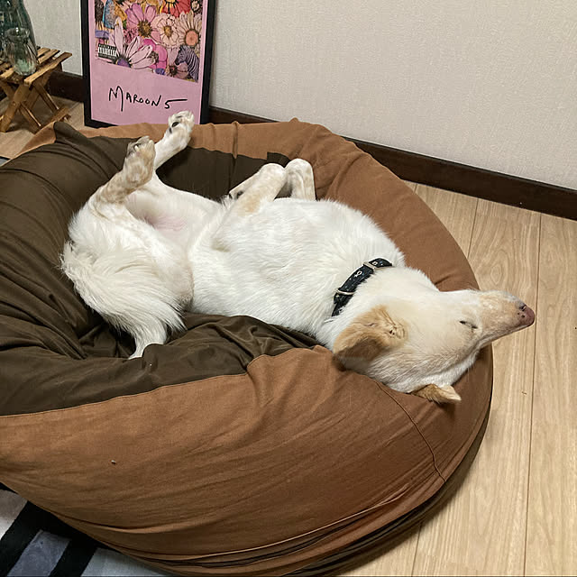 cheminさんの実例写真