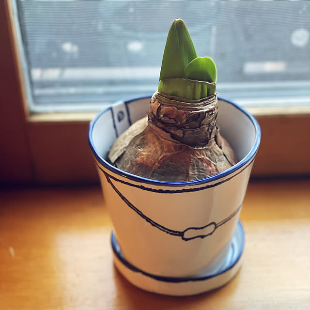 kabu10さんの部屋