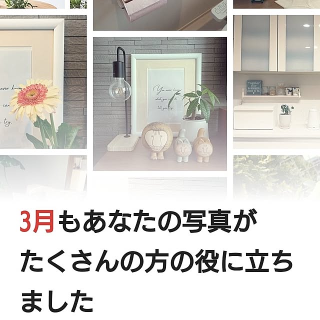 tan5さんの実例写真