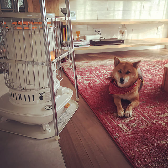 mtkさんの実例写真