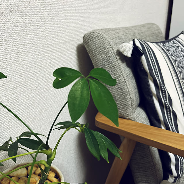 ROKUさんの実例写真