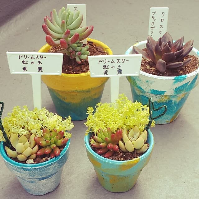 mikimaruさんの実例写真