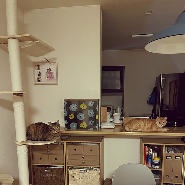 chiiさんの実例写真
