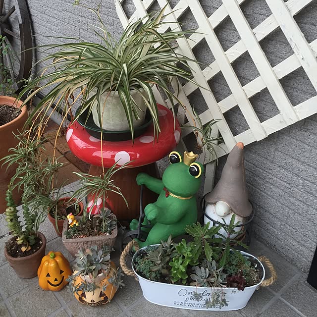sakuraさんの実例写真