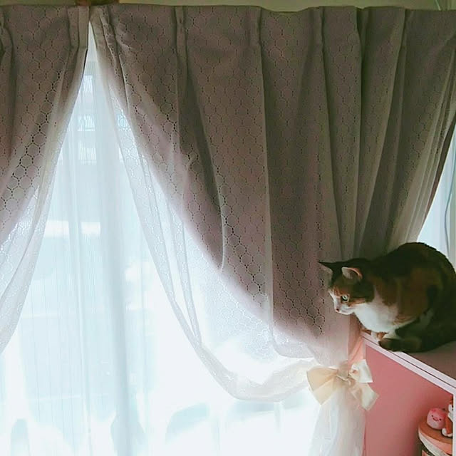 taleo07さんの実例写真