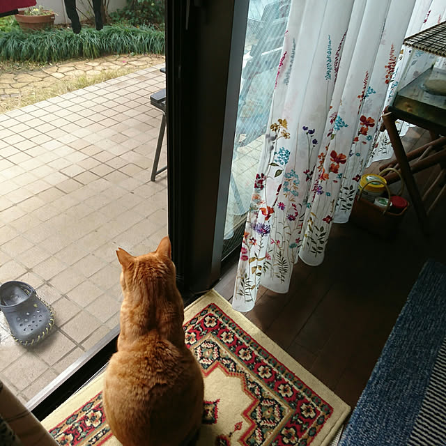 okyosan101さんの実例写真