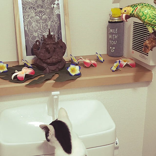 azu2213さんの実例写真